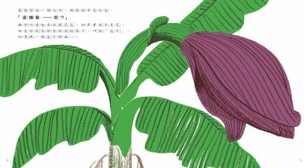 香蕉從哪裡來?(新版)